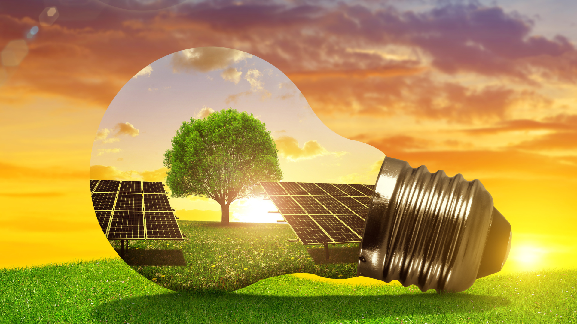 SunGrid